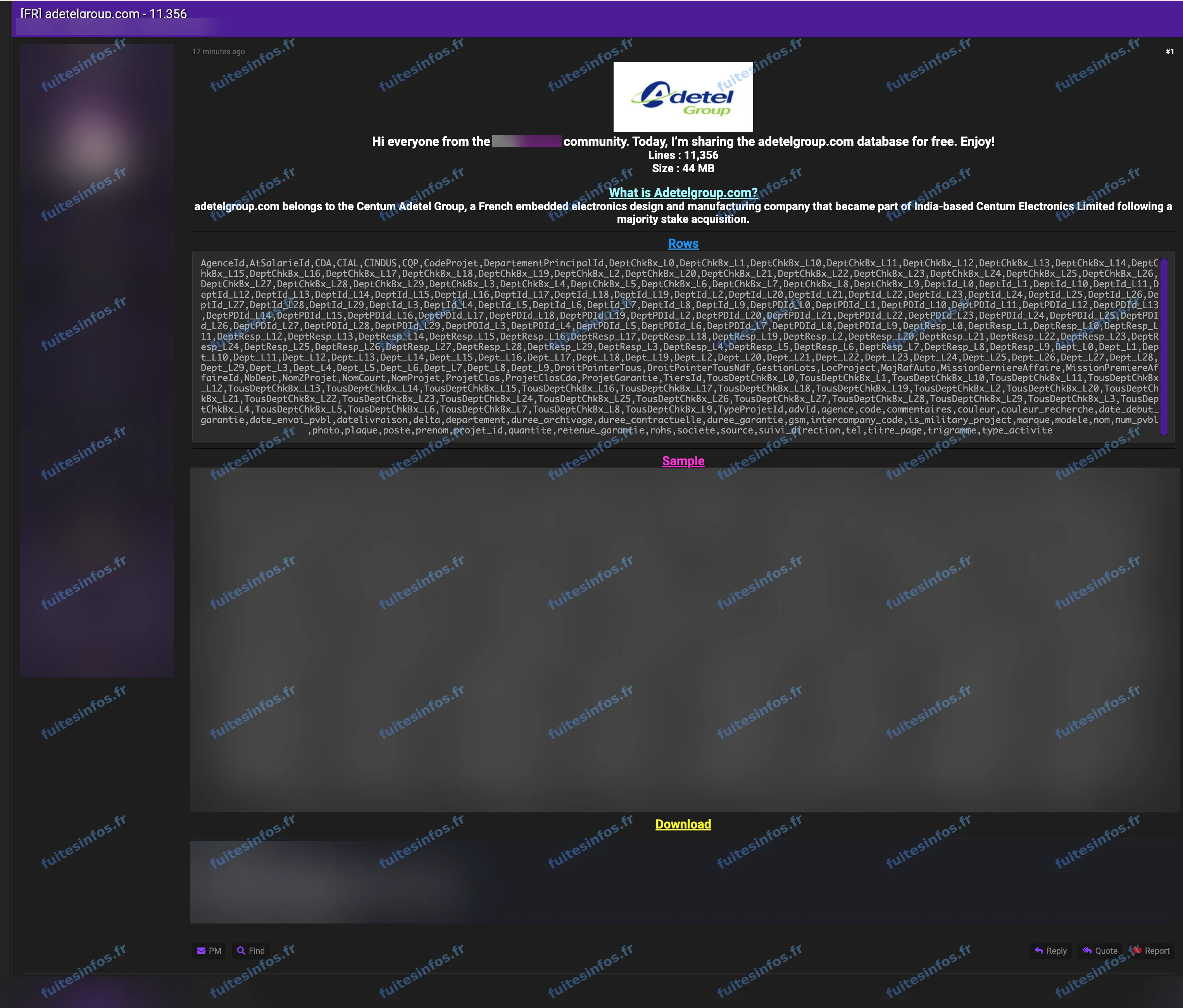 Capture filigranée et masquée de la publication du fichier Adetel Group sur un forum cybercriminel
