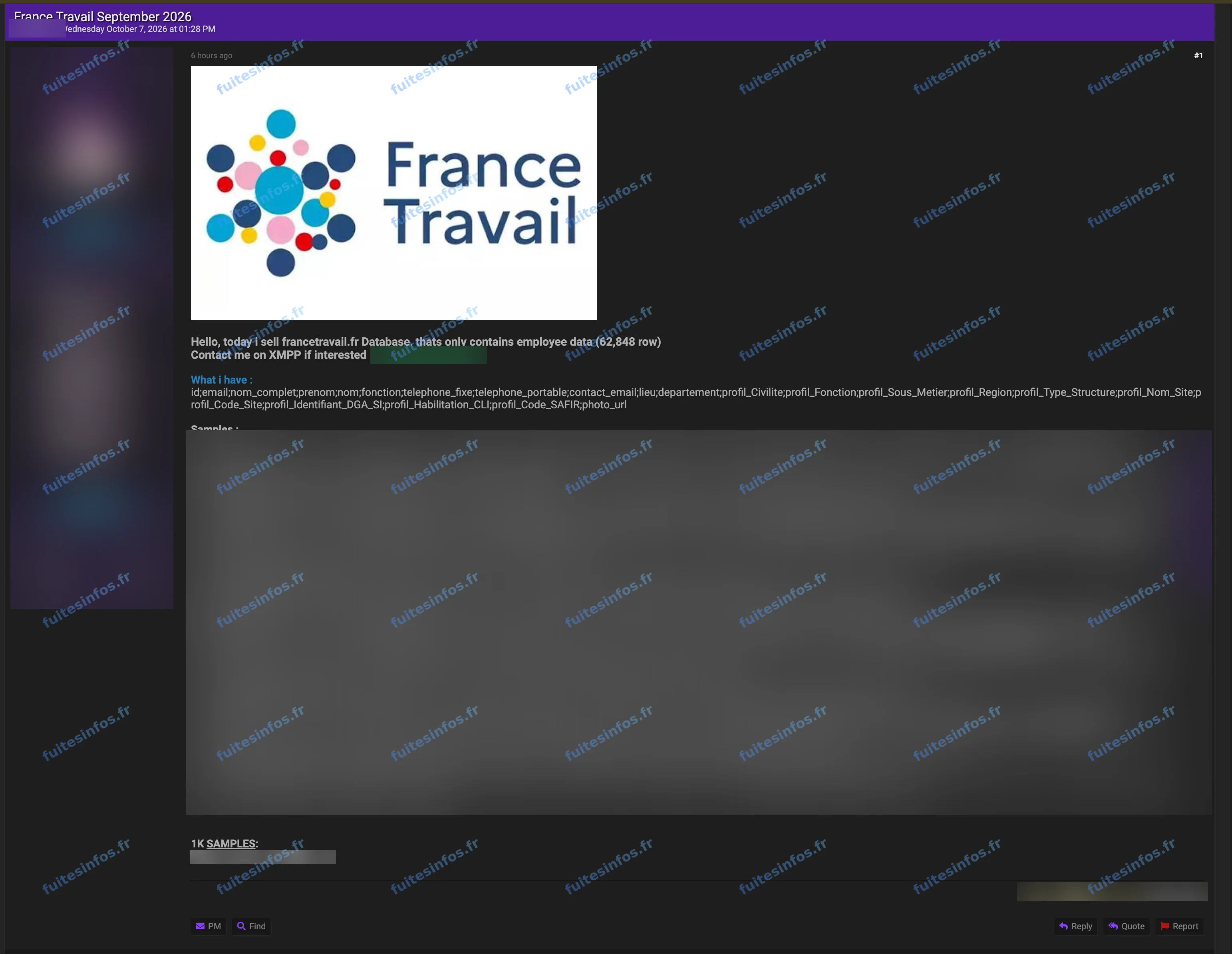 Capture filigranée et masquée de l'annonce de vente visant France Travail
