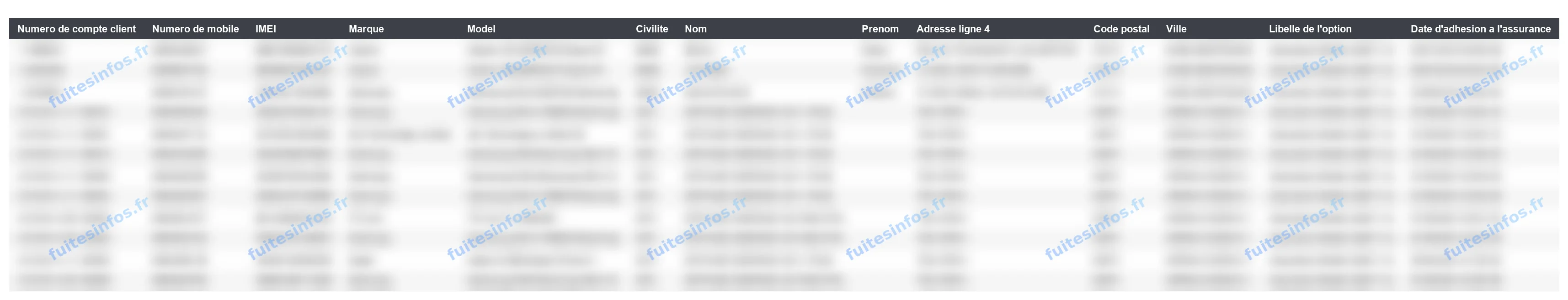 Extrait mis en forme du fichier d'adhésion à l'assurance mobile, valeurs floutées, seuls les intitulés de colonnes restent lisibles